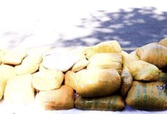 ۱۶۷ کیلوگرم مواد مخدر در کهگیلویه و بویراحمد کشف شد