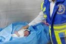 تولد نوزاد عجول دیشموکی در آمبولانس