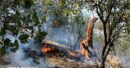 عامل انسانی؛ علت اصلی آتش‌سوزی ‌جنگل‌ها و مراتع در بهمئی و گچساران